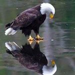 Profile Picture of Chase Nielsen (@chasenielsen2432) on Instagram