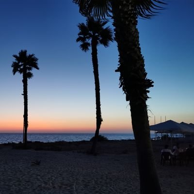 Profile Picture of Carlos Reynolds (@creynoldssaa) on Twitter