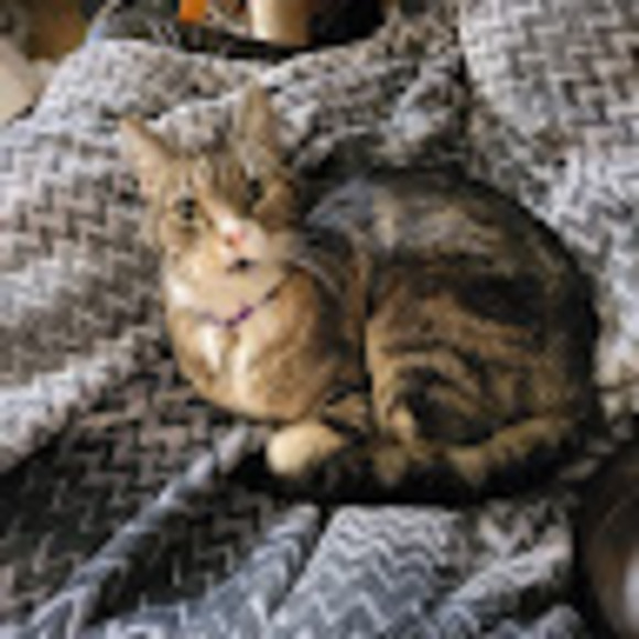 Profile Picture of David Granger (@fivebodyblade) on Poshmark