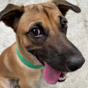 Profile Picture of SAPIO, AIVAN CHRISTOPHER (@AivanChristopherSapio) on Youtube