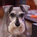 Profile Picture of Robin Price (@robinprice1977) on Instagram