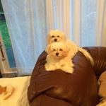 Profile Picture of Lori Bennett (@lori.bennett.144) on Instagram