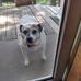 Profile Picture of Mike Hudspeth (@mike.hudspeth.7503) on Facebook