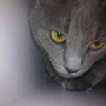Profile Picture of Clifford Keen (@keenclifford) on Instagram