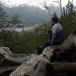 Profile Picture of Daniel Perello (@perello.daniel) on Instagram
