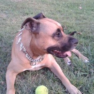 Profile Picture of Jaime (@CorujoJaime) on Twitter