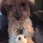 Profile Picture of Cecilia Pintos (@Cecilia-Pintos) on Facebook