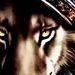 Profile Picture of Christopher Crosby (@chriscrosby591) on Pinterest