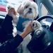 Profile Picture of David Primo (@davidp7134) on Pinterest