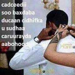 Profile Picture of Ayan Yasin Omer 51 (@HhJh45819647) on Twitter