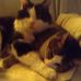 Profile Picture of Suzanne Matthews (@suzanne.matthews.184) on Facebook