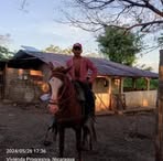 Profile Picture of David Castro (@david.castro.795373) on Facebook