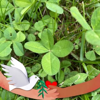 Profile Picture of Mandy Shuwen Chen (@magic_manman) on Instagram