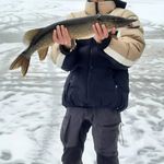 Profile Picture of Janne Bauer (@janne.m.bauer) on Instagram