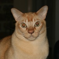 Profile Picture of Bruce Heath (@bruce-heath) on Quora