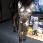 Profile Picture of Leif Scheick (@leif.scheick) on Facebook