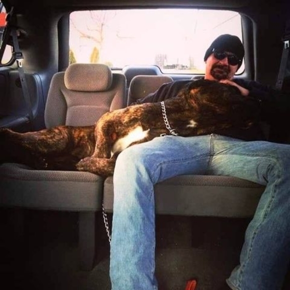 Profile Picture of Michael Rainone (@minpingreatest) on Poshmark