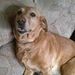 Profile Picture of JUSTIN NAPPER (@jnapper0985) on Pinterest
