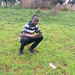 James Damiano - Instagram Profile Picture of James Damiano (@damianojames29) on Instagram