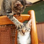 Profile Picture of Raymond Osburn (@startueno) on Instagram