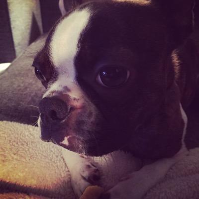 Profile Picture of Paul Moceri (@PaulATLYNWA) on Twitter