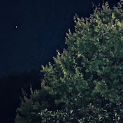 Profile Picture of Daniel Kent (@danielkent7277) on Youtube