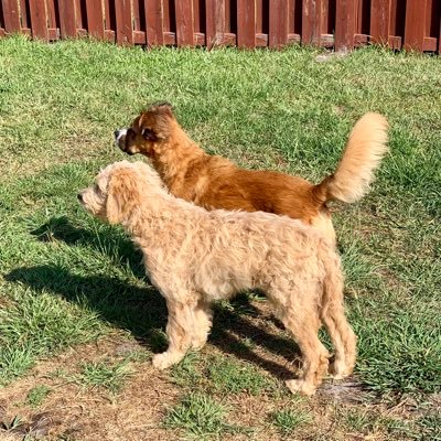 Profile Picture of Seth (@seth_reid3125) on Twitter