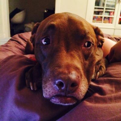 Profile Picture of Geoff Bunger (@Jefe_Bunger) on Twitter