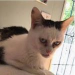 Profile Picture of Jaedyn Troxell😊😭 (@jaedyn_offical) on Instagram