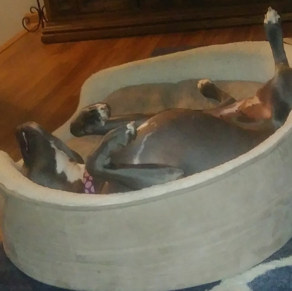 Profile Picture of Amanda Mccready (@amandamccready) on Poshmark