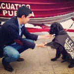 Profile Picture of José Pozos (@pepepozos) on Instagram