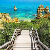 Profile Picture of Cindy Clemente (@cindyclemente8588) on Youtube