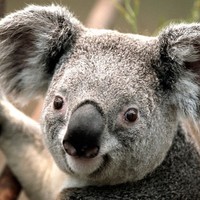 Profile Picture of Joel Valerio (@joel-valerio-2) on Quora