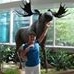 Profile Picture of Donna Morris Travers (@donna.morristravers) on Facebook