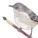 Profile Picture of Twig & Moth (@alicecantrell) on Pinterest