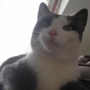 Tatjana Bauer - Twitter Profile Picture of Tatjana Bauer (@TatjanaBauer1) on Twitter