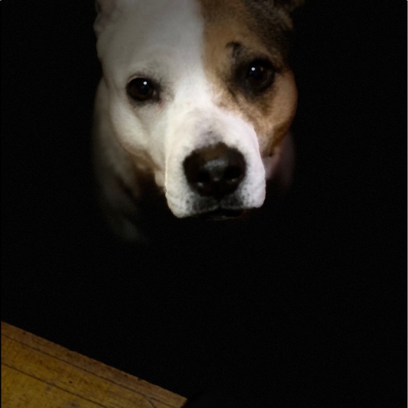 Profile Picture of Heather Roberts (@hdr1112) on Poshmark