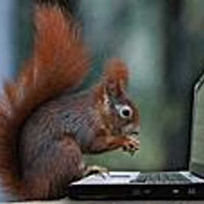 Profile Picture of Ada Galilea Granados (@@adorra) on Twitter