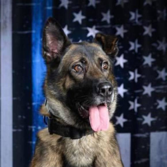 Profile Picture of Chris Edwards (@ched_iv_21) on Poshmark