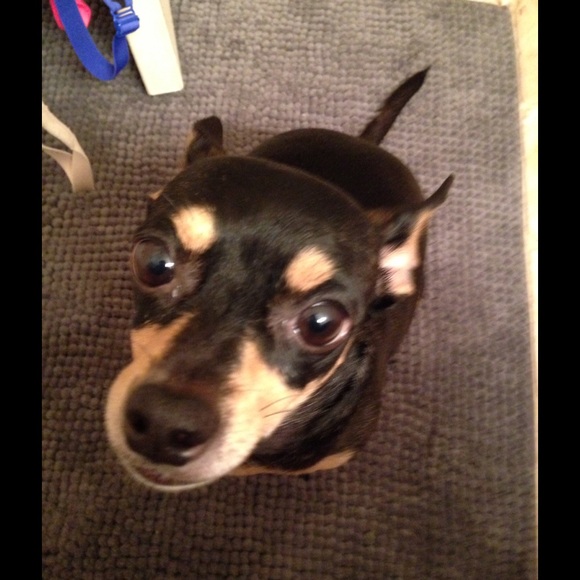 Profile Picture of Janice Thomas (@jjthomas67) on Poshmark