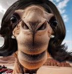 Profile Picture of Joe Shellman (@joe.shellman) on Facebook