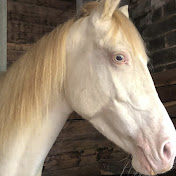 Elisa VOGEL - Youtube Profile Picture of Elisa VOGEL (@elisavogel67750) on Youtube