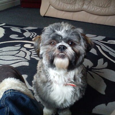 Profile Picture of Lisa Keeney (@lktoday11) on Twitter