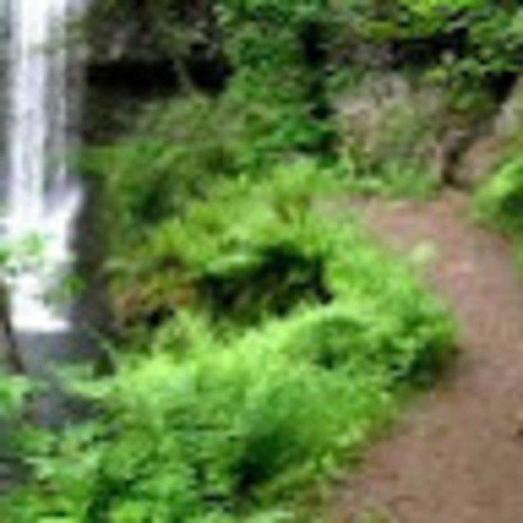 Profile Picture of Andrew Bruza (@abruza2023) on Poshmark