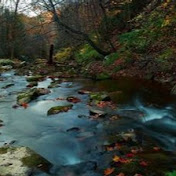 Profile Picture of Thomas Badiali (@thomasbadiali815) on Youtube