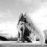 Profile Picture of Babette Weber (@babette_weber) on Twitter