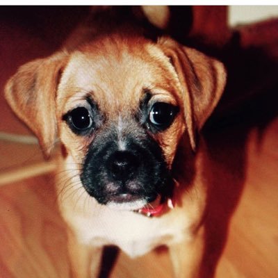 James Sherlock - Twitter Profile Picture of James Sherlock (@JamesSh92414597) on Twitter