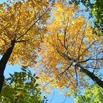 Craig Schultz - Instagram Profile Picture of Craig Schultz (@crgschltz) on Instagram