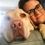 Profile Picture of Leah Assimacopoulos (@_barney_the_labrador_) on Instagram