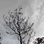 Profile Picture of Chin Francis (@francis.chin.5815) on Facebook